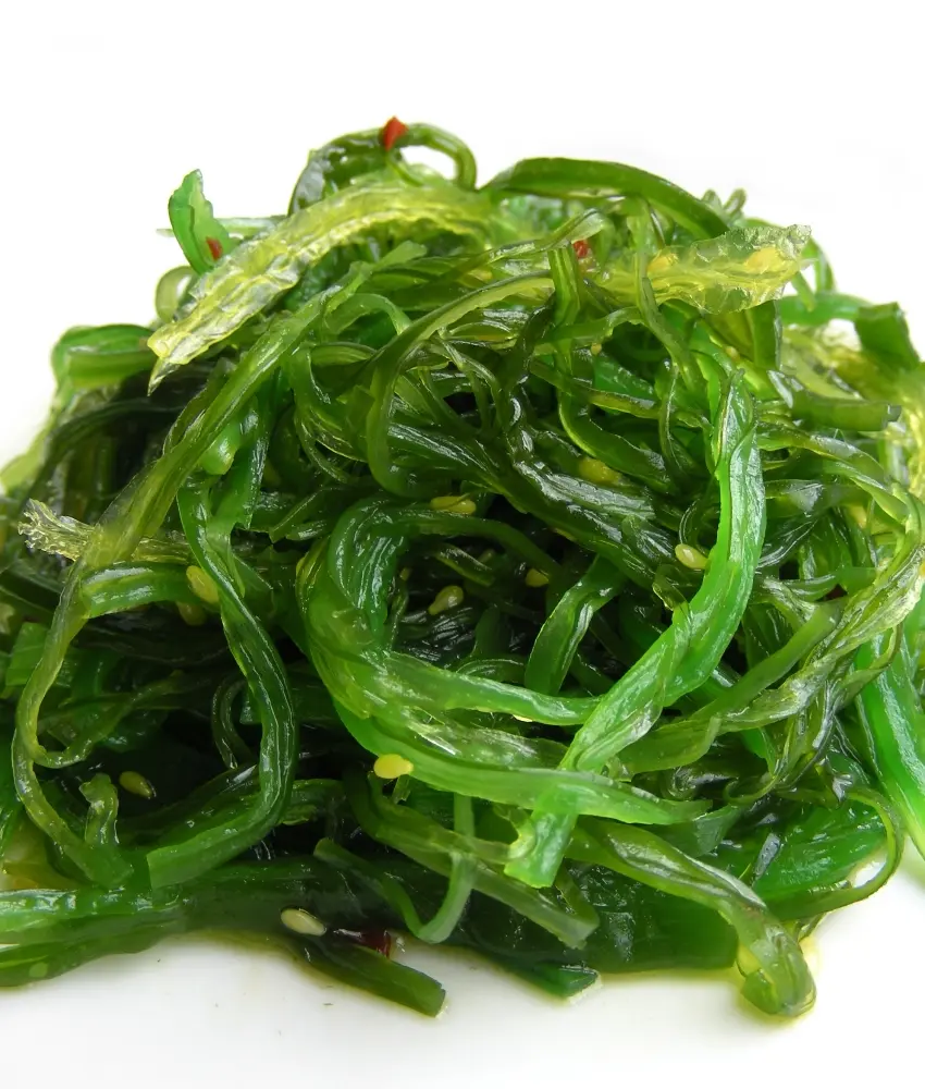 Goma wakame zeewiersalade (1x1 kg)