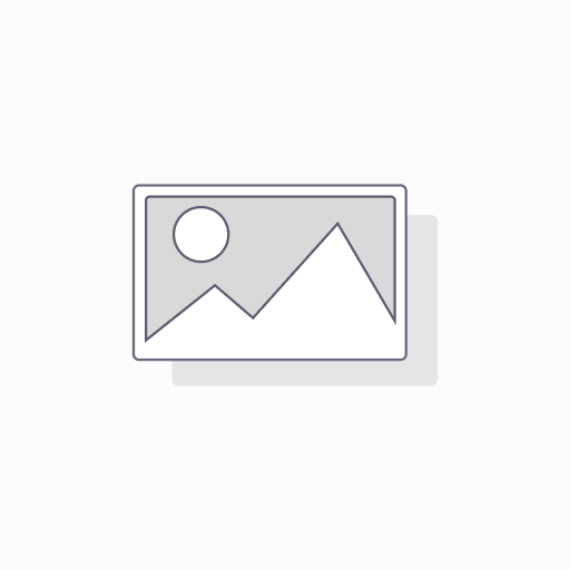 La banderita tortilla flour 10 inch pressed (1x12 pcs)