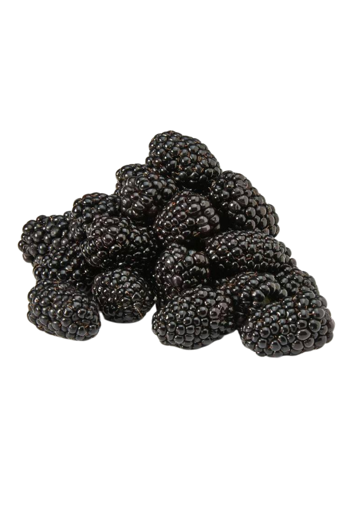 BERRIES BLACK 12/6 OZ