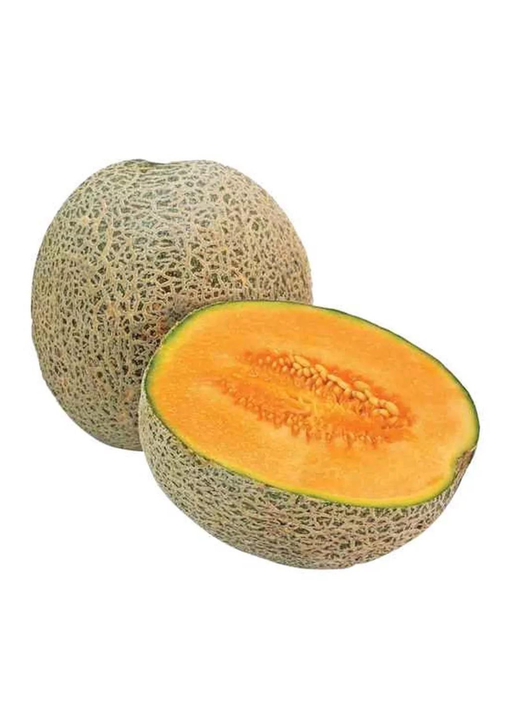 CANTALOUPE 12 ST