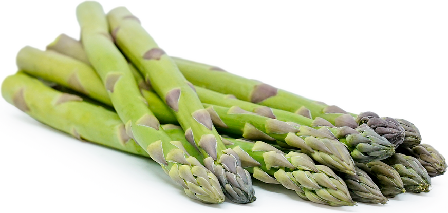 ASPARAGUS LARGE