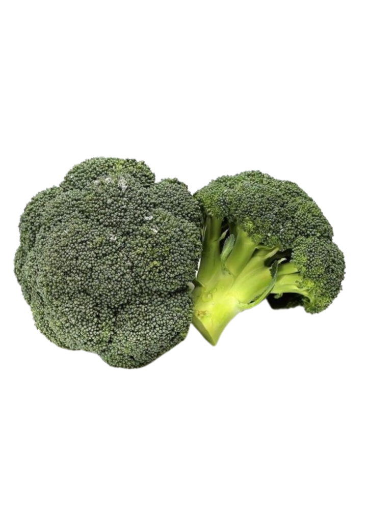 BROCCOLI PREM 14 ST