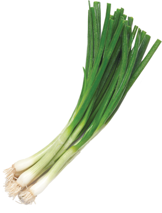 ONION GREEN ICELESS 2x24 Bunches