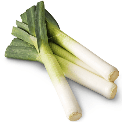 LEEKS BUNCHED 12 ST