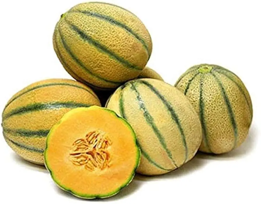 Cantaloupe Tuscan (1x9 st)
