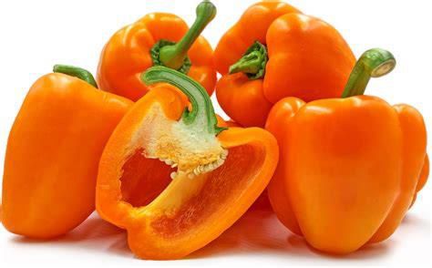 PEPPER ORANGE  XL 11 LB