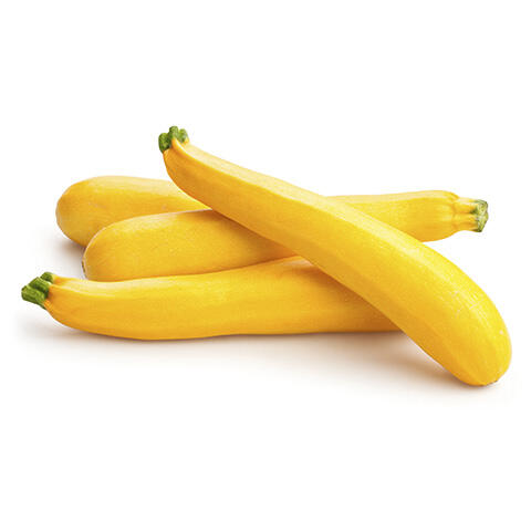 SQUASH YELLOW FCY S/N 20 LB