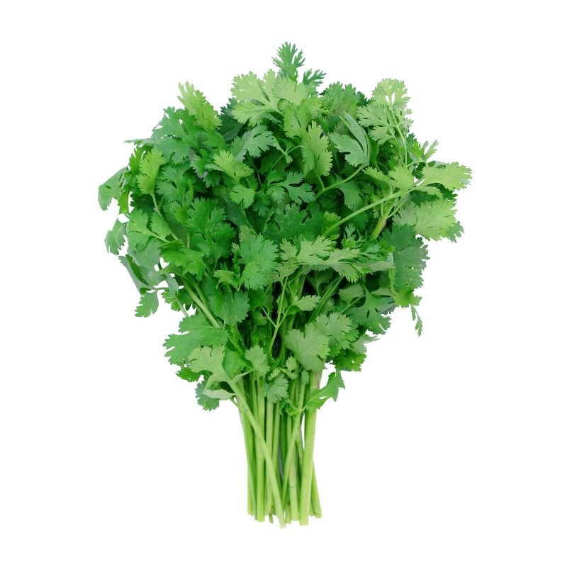 CILANTRO BUNCHED 30 ST