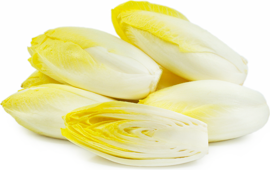 ENDIVE BELGIAN WHT 11LB