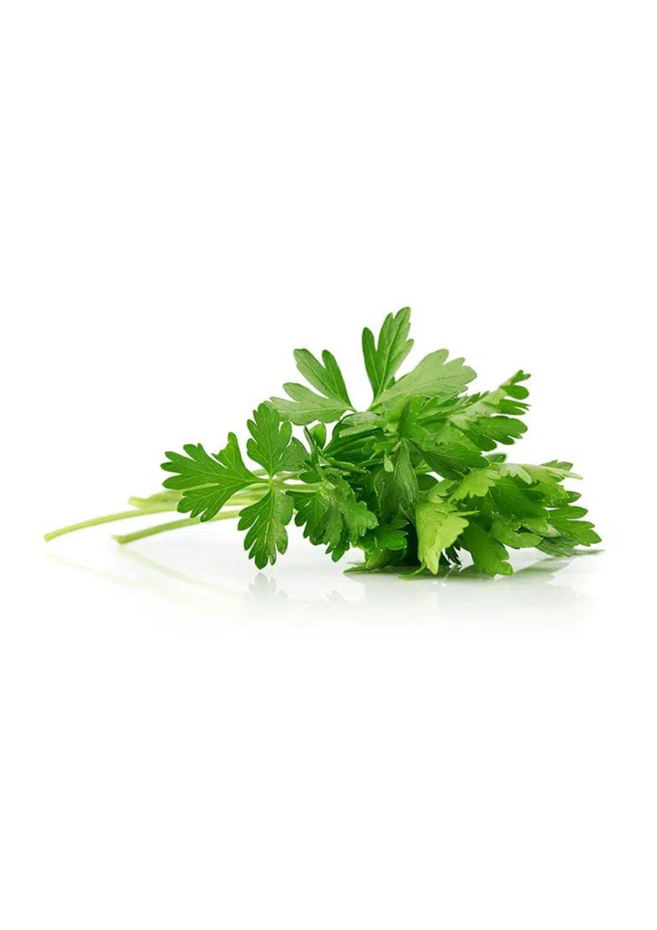 PARSLEY ITALIAN 60 ST