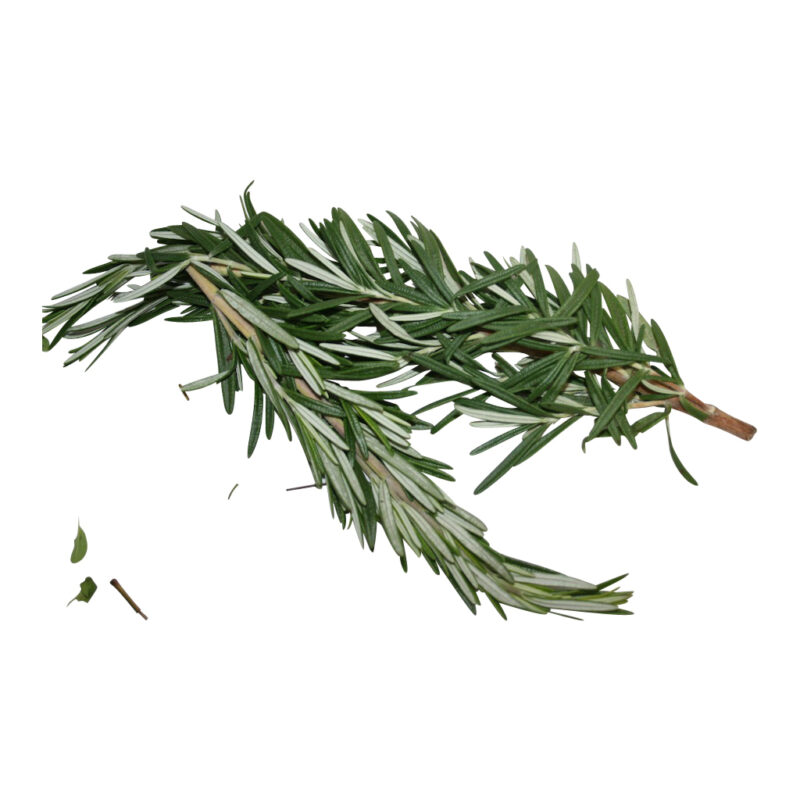 HERB FRESH ROSEMARY 1 LB