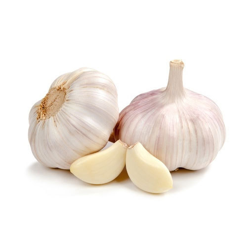 GARLIC JBO 30 LB