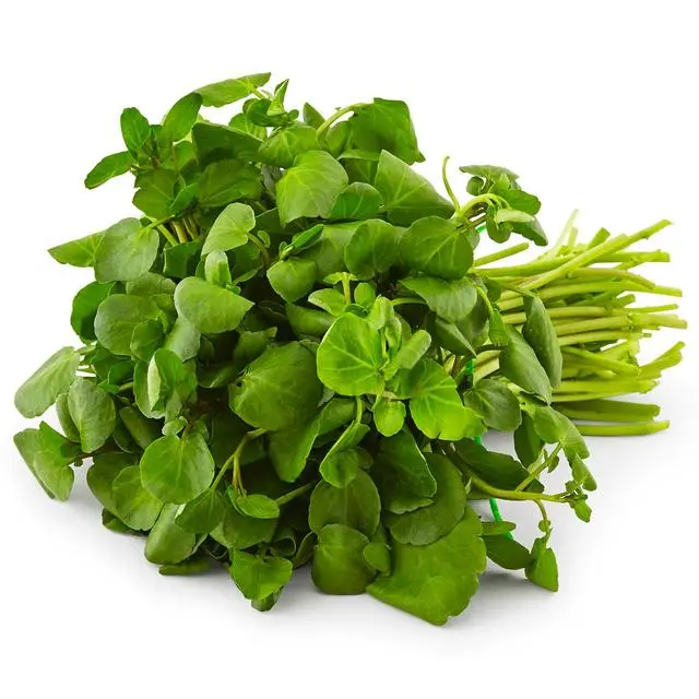 B&W watercress (1x24 st)