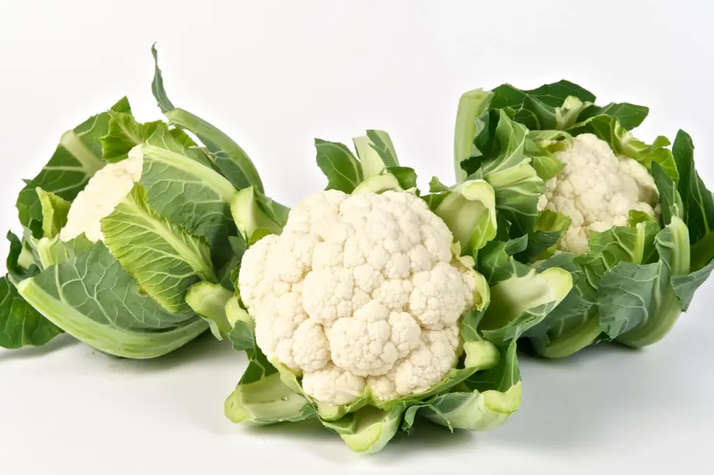 Cauliflower prem (1x16 st)