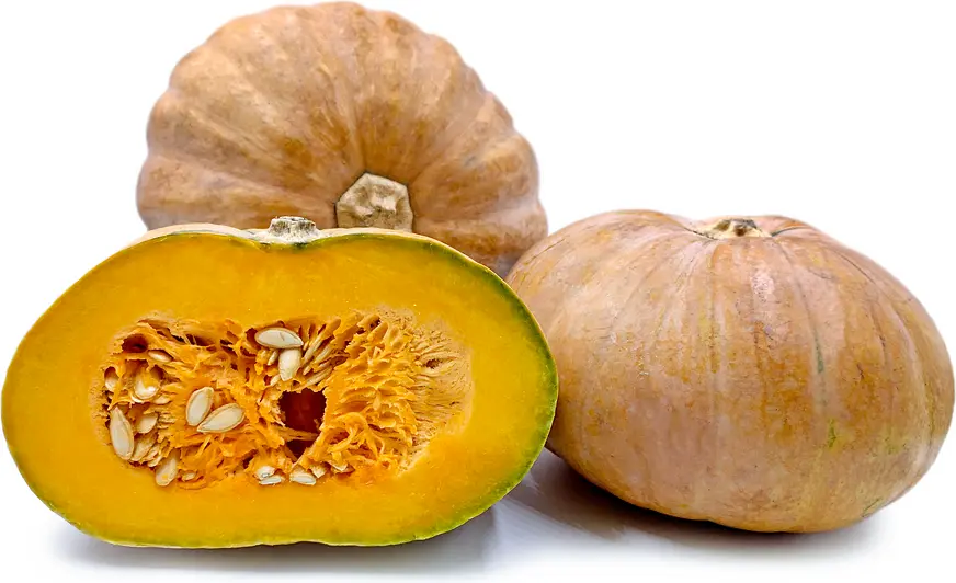 Squash Calabaza tropical (dr) 40lbs