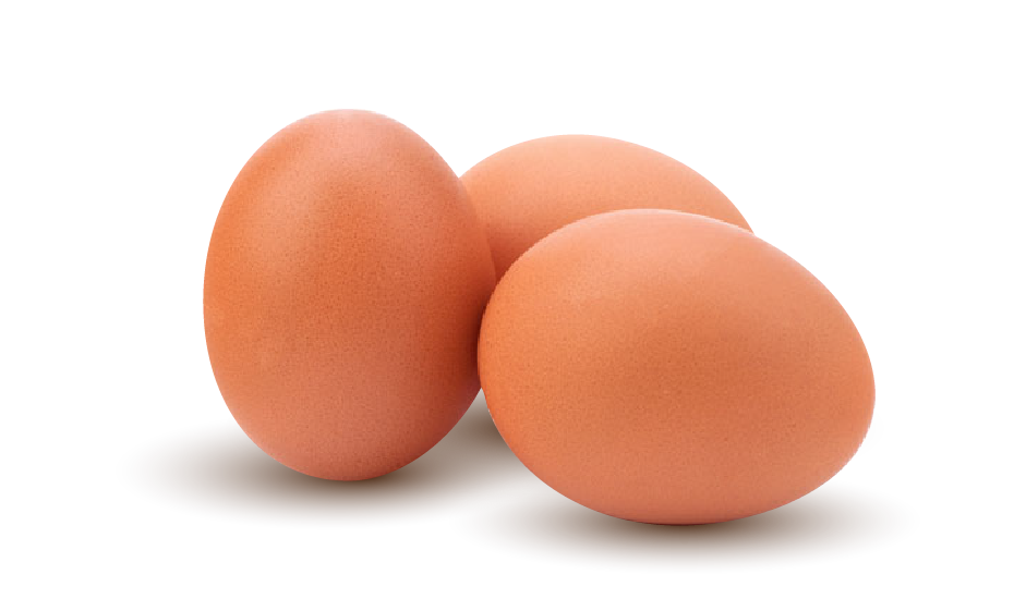 Hill egg large 30dz Pre-order for the time being