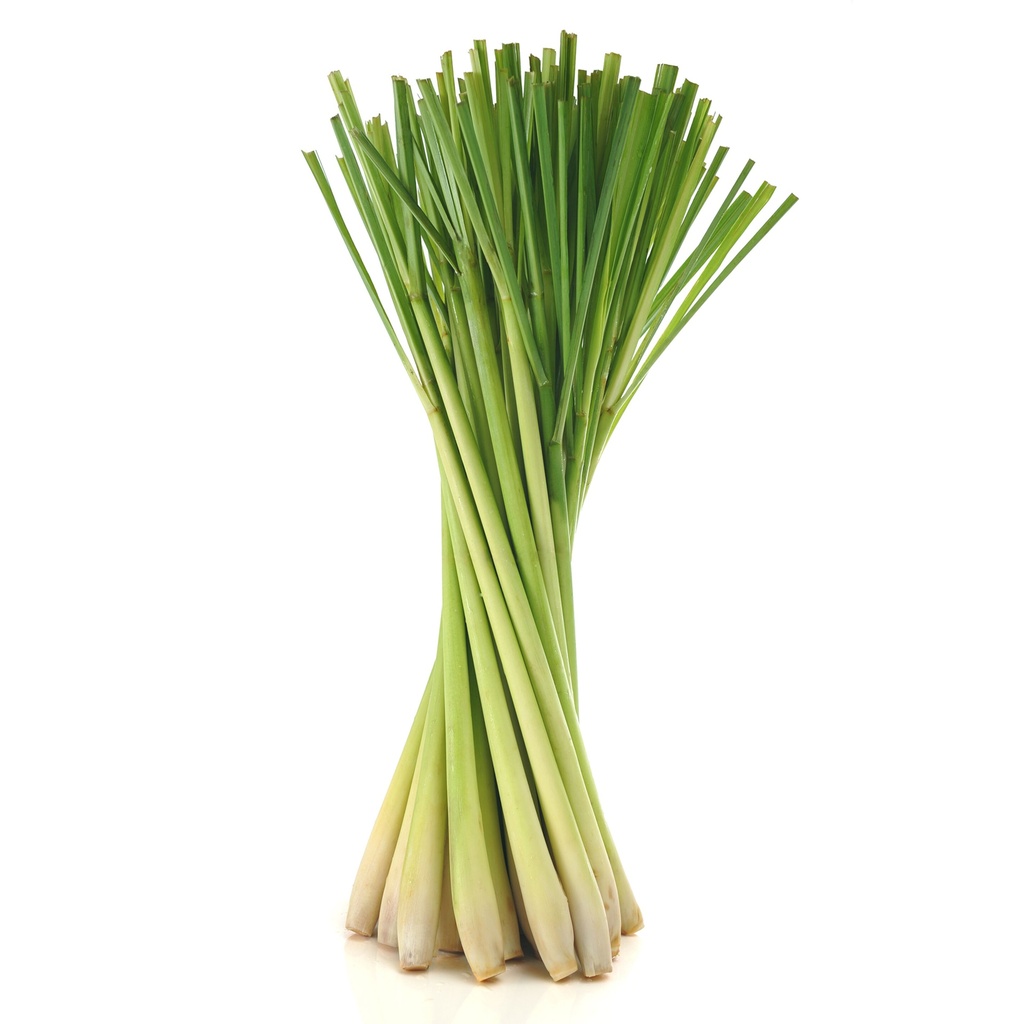 Herb fresh lemongrass 1lb