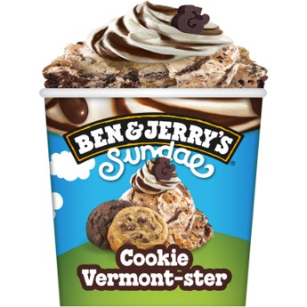 Ben & Jerry's pint sundae cookie vermont-ster 8x427ml