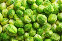 Brussel sprouts bulk 25lb