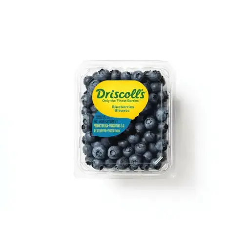 [104877] Berries blue driscoll (12x1 st)