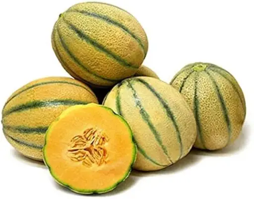 [106744] Cantaloupe tuscan (1x9 st)