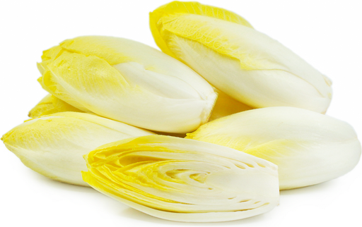 [103982] ENDIVE BELGIAN WHT 11LB