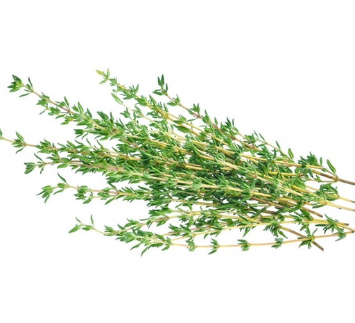 [104563] HERB FRSH THYME 1 LB