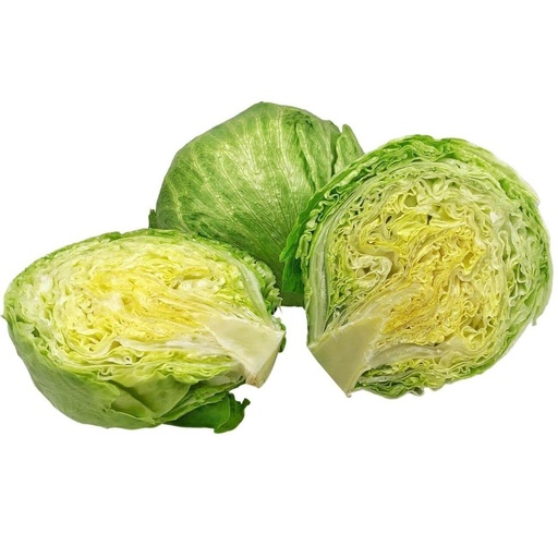 [103330] Lettuce cello 24 ST