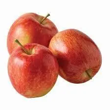 [104320] Apple gala xf (1x113 st)