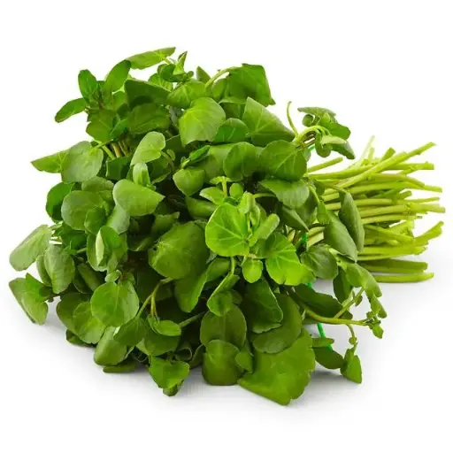 [104947] B&W watercress (1x24 st)