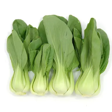 [103222] Bok choy (1x30 lb)