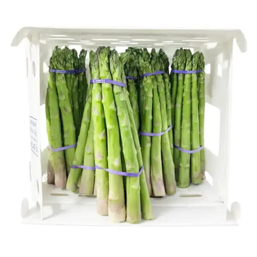 [104256] Asparagus large (1x11 lb)