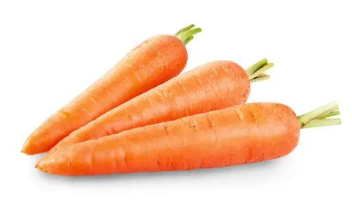 [104586] Carrot jumbo size (1x50 lb)