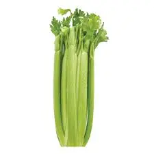 [104580] Celery sleeved (1x30 st)