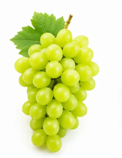 [104855] Grape green seedless (1x19 lb)