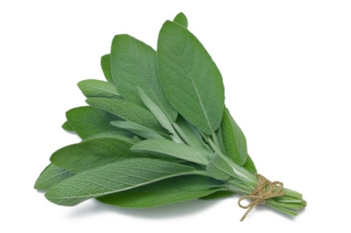 [105771] Herb fresh sage 1lb 